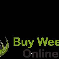 Techdost Services techdost2017